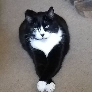 Meet your Posher, Sue